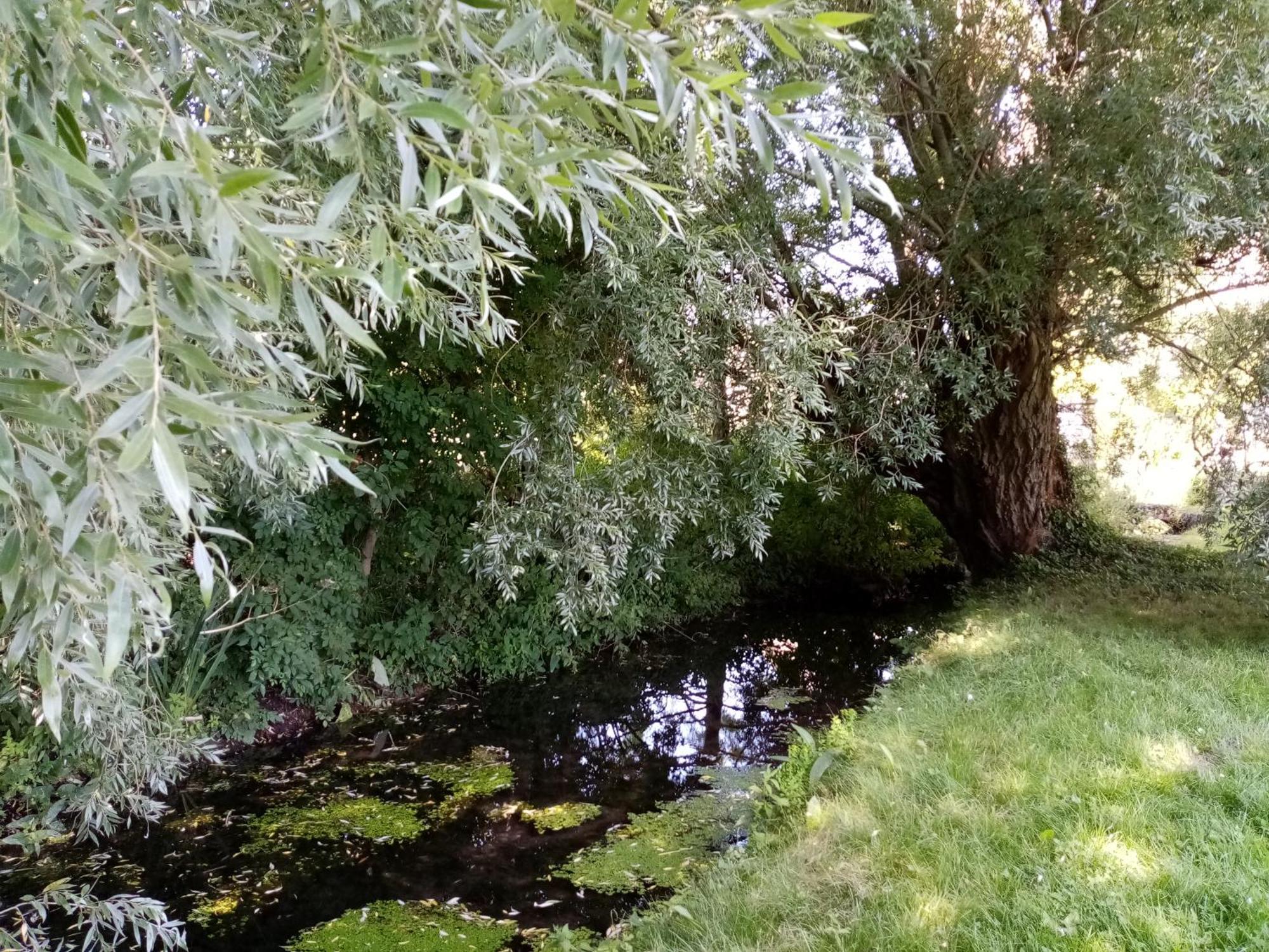 Moulin De Giboudet Chambres D'Hotes Bazainville Екстериор снимка